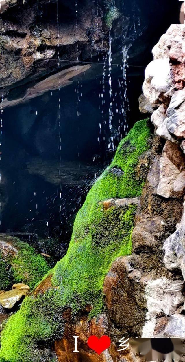 幻想乡大冒险3